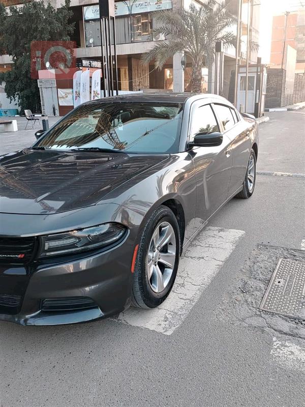 دۆج  بۆ فرۆشتن لە عێراق